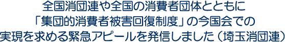 全国消団連や全国の消費者団体とともに「集団的消費者被害回復制度」の今国会での実現を求める緊急アピールを発信しました（埼玉消団連）