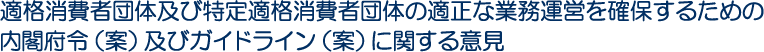 適格消費者団体及び特定適格消費者団体の適正な業務運営を確保するための内閣府令（案）及びガイドライン（案）に関する意見